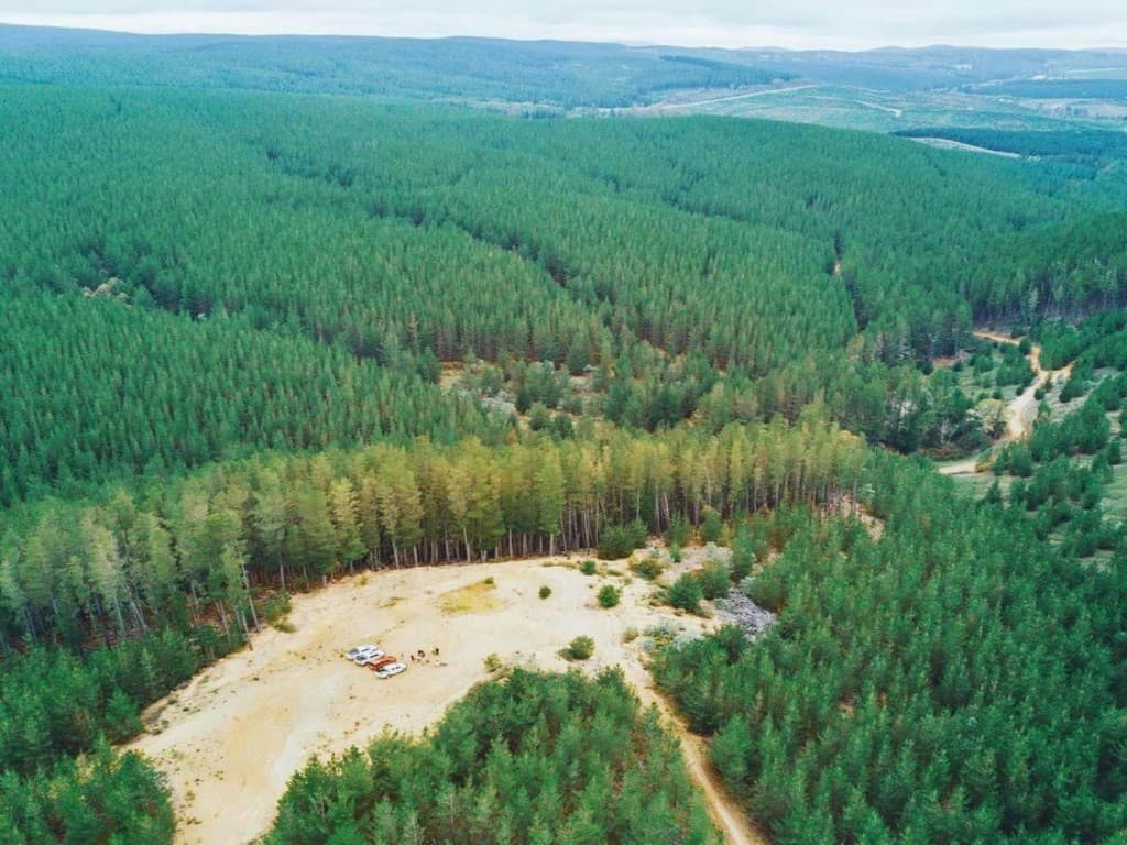 Club members and vehicles gathered in a forest clearing on a hunting outing